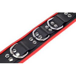 The Red Collier en cuir avec 3 Anneaux D Rouge